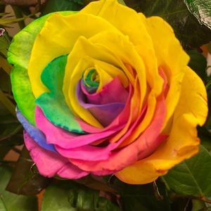 Meet your Posher, Tina